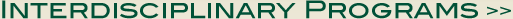 Interdisciplinary Programs