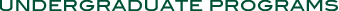 Undergraduate Programs