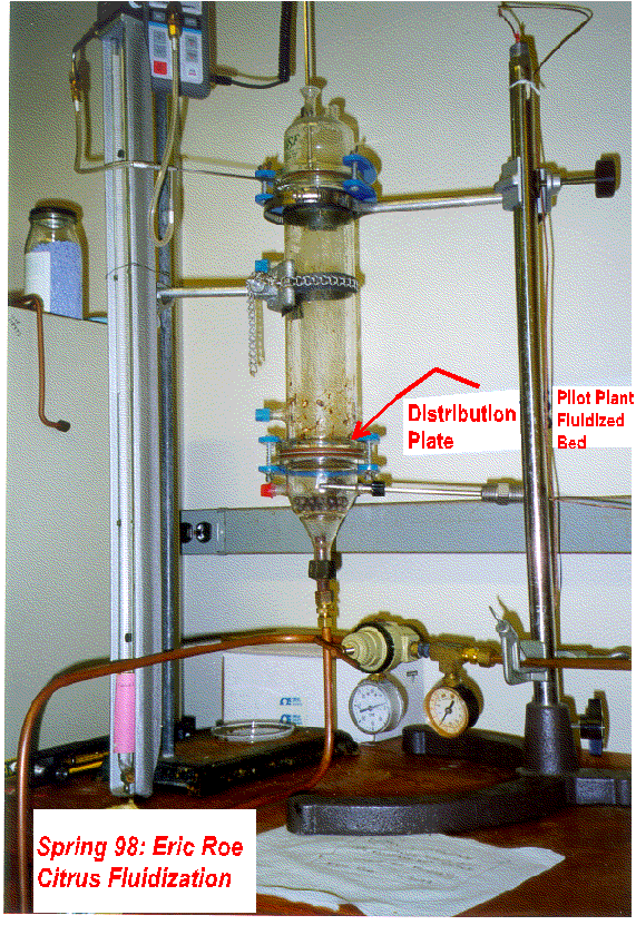 fluidized bed