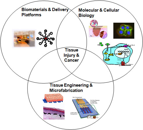 Research Summary